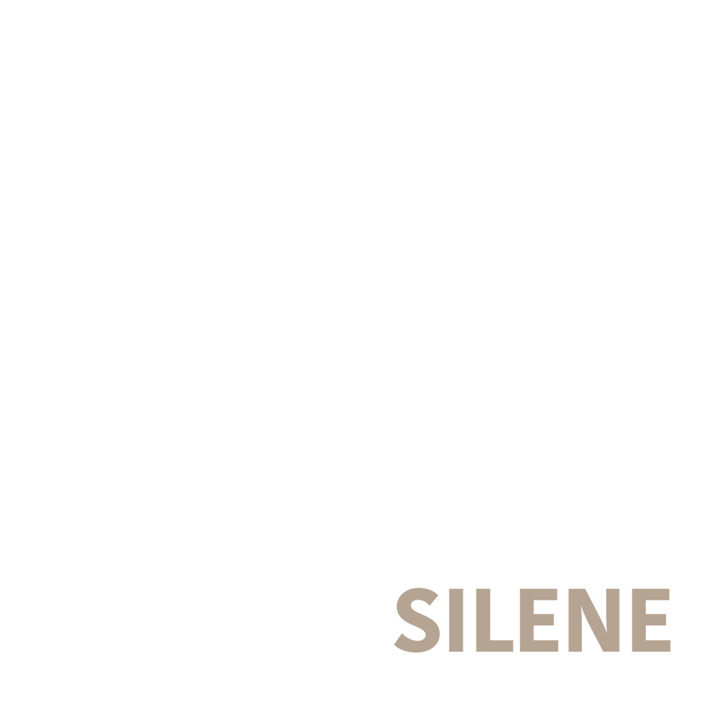 logo bianco chalet silene